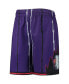 ფოტო #3 პროდუქტის Big Boys Purple Toronto Raptors 1998 Hardwood Classics 75th Anniversary Swingman Shorts