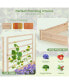 Raised Garden Bed with 3 Trellises with Divided Compartments for Flowers