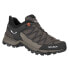 Фото #1 товара Salewa Mtn Trainer Lite GTX W 61362-7517 trekking shoes