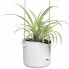 Фото #6 товара Горшок для цветов elho Hanging Planter White Plastic Ø 18 см