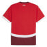 Фото #3 товара Puma Sfv Crew Neck Short Sleeve Home Soccer Jersey Replica Mens Size M 7739560