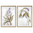 Фото #1 товара Картина DKD Home Decor 50 x 2 x 70 cm современный Ботанические растения (2 штук)