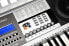 McGrey PK-6110 Keyboard (61 Keys, 100 Tones, 100 Rhythms, Learning Function, Power Supply, Music Stand)