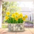 Фото #8 товара Горшки для цветов Relaxdays Декоративные бумажные корзины из березовой коры, 3 шт.
