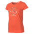 ფოტო #1 პროდუქტის TERNUA Lutni short sleeve T-shirt