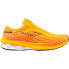 Фото #1 товара MIZUNO Wave Skyrise 5 running shoes