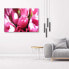 Фото #2 товара Bild auf leinwand Tulpen Blumen Rosa