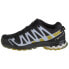 Salomon XA Pro 3D v8 GTX W 416295 running shoes