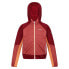 Фото #3 товара REGATTA Prenton II softshell jacket