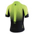 Фото #2 товара BICYCLE LINE Pro Short Sleeve Jersey