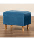 Фото #8 товара Elias Modern and Contemporary Velvet Fabric Upholstered and Finished Wood Storage Ottoman