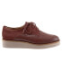 Фото #2 товара Softwalk Willis S1811-255 Womens Brown Oxfords & Lace Ups Casual Shoes