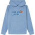 PEPE JEANS Beck hoodie