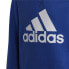 Детская толстовка Adidas Essentials Big Logo Синий