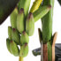 Фото #8 товара Künstliche Pflanze Bananenboom