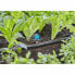Фото #2 товара Микро-ороситель садовый Gardena Micro-Drip 13324-20 13 мм