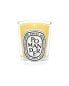 Diptyque Pomander Candles