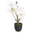 Фото #1 товара Декоративное растение полиэстер полиэтилен Железо 22 x 22 x 38 cm Magnolia