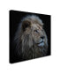 Фото #2 товара Louise Wolbers 'Proud Lion' Canvas Art - 14" x 14" x 2"