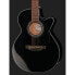 Takamine GF30CE-B