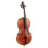 Gewa Allegro VC1 A Cello 4/4