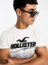 Фото #1 товара Hollister tech mesh applique ombre t-shirt in white/black