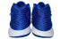 Баскетбольные кроссовки Nike KD 14 TB "Game Royal" 14 DM5040-401