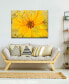 'Painted Petals XXXVI' Canvas Wall Decor