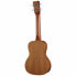 Фото #2 товара Cordoba 20CM Concert Ukulele