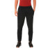 Фото #2 товара [516858-01] Mens Puma VENT KNIT PANT