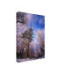 Фото #2 товара Philippe Sainte-Laudy Let it Snow Trees Canvas Art - 20" x 25"