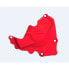 Фото #2 товара POLISPORT Honda CRF250R 10-17 Ignition Cover Protector