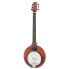 Gold Tone EB-6 E-Banjo w/Bag