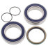 All BALLS 14-1035 Ski Doo bearing&seal differential kit