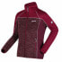 Фото #4 товара Женская спортивная куртка Regatta Lindalla II Темно-красный
