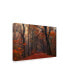 Фото #2 товара Anton Van Dongen Decorative Forrest Canvas Art - 37" x 49"