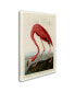 Фото #2 товара John James Audobon 'American Flamingo' Canvas Art - 47" x 30" x 2"