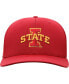 ფოტო #4 პროდუქტის Men's Cardinal Iowa State Cyclones Reflex Logo Flex Hat