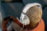 Фото #6 товара Turtle Beach Over-Ear Stereo Gaming Headset Recon 500 Arctic Camo - Headset
