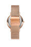 Фото #3 товара Наручные часы женские Paul Valentine MELROSE MESH 36 мм PV361411