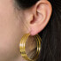 Ariane BJ07A2201 timeless gold plated earrings