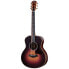 Taylor GS Mini-e VSB Ltd 50th