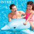 Фото #4 товара INTEX Dolphin