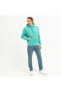 Фото #4 товара Sportswear Club Fleece Erkek Yeşil Kapüşonlu Polarlı Sweatshirt Bv2654-392