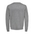 ONLY & SONS Wyler Life Sweater