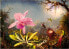 Bluebird Puzzle Puzzle 1000 Orchidea Cattleya i trzy kolibry