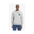 Levi´s ® Standard Graphic hoodie