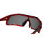 Фото #4 товара Очки Tifosi Davos Polarized Suns