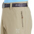ALTUS Taupo I30 Shorts