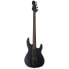 Фото #1 товара ESP LTD AP-4 Black Metal